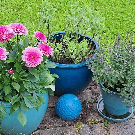 펜션 Haus Eufalia 블랑켄하임