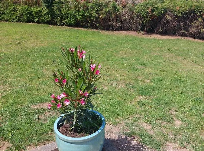 Haus Eufalia Casa vacanze