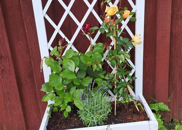 Haus Eufalia Feriehus