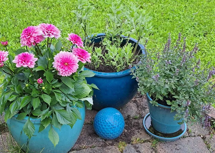 Casa vacanze Haus Eufalia Blankenheim (North Rhine-Westphalia)